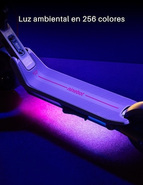 Scooter eléctrico Segway E3Pro